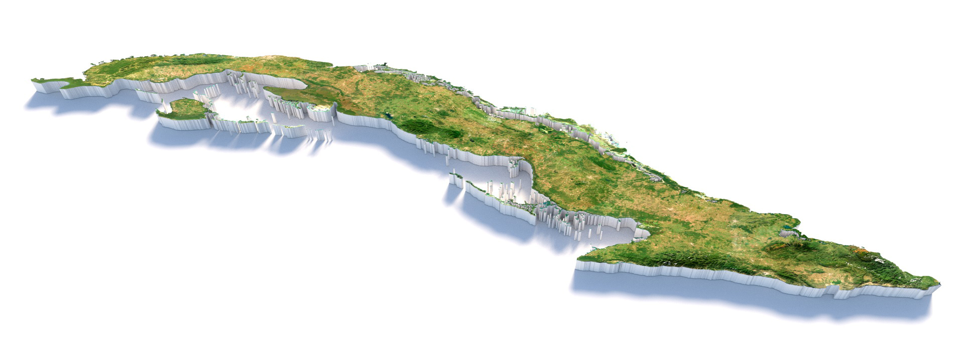 Product banner image